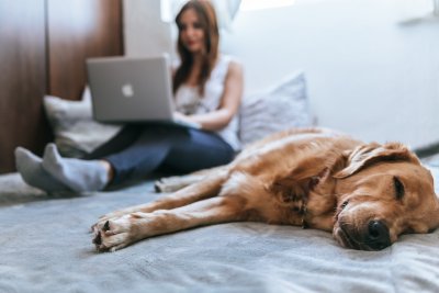 10 tips om prettig thuis te werken